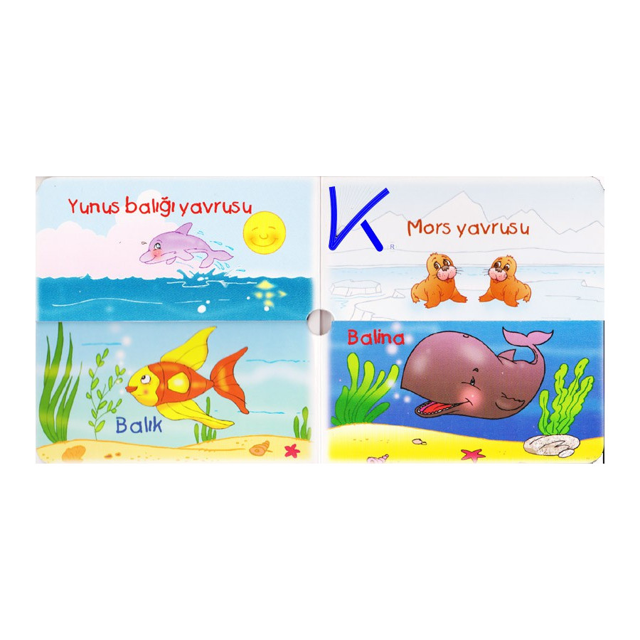 Hayvanlar ve Yavruları 3 - Ilk Bilgilerim Serisi 12 - Sert karton kitap