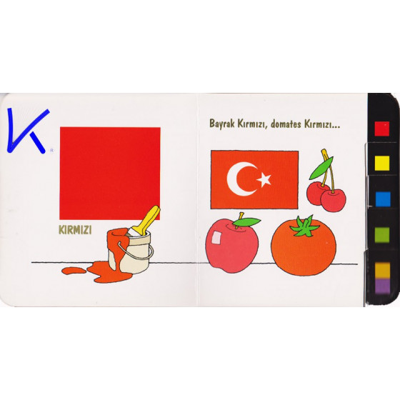 Renkleri Tanıyalım - Sert karton kitap - Jülide Güreli