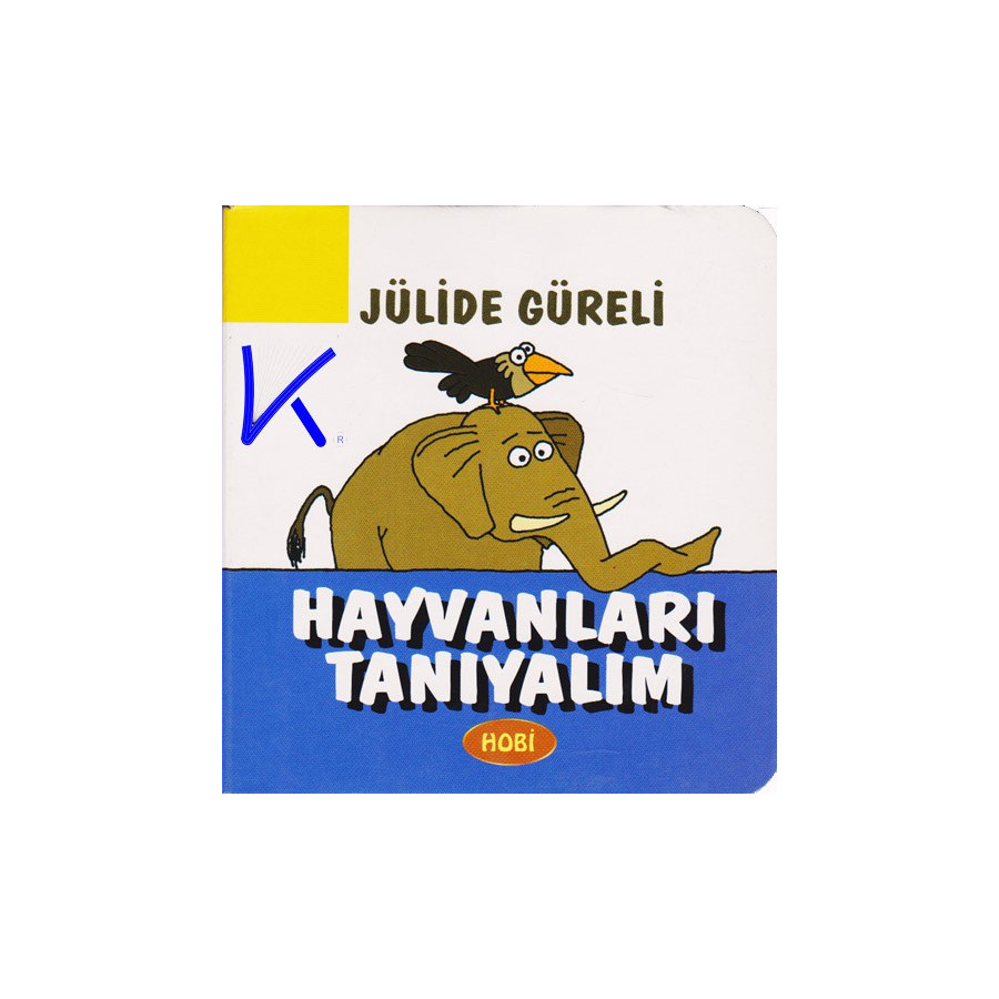Hayvanları Tanıyalım - Sert karton kitap - Jülide Güreli
