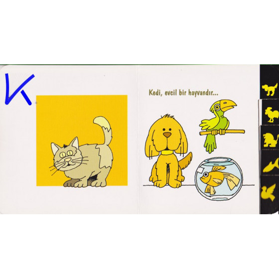 Hayvanları Tanıyalım - Sert karton kitap - Jülide Güreli