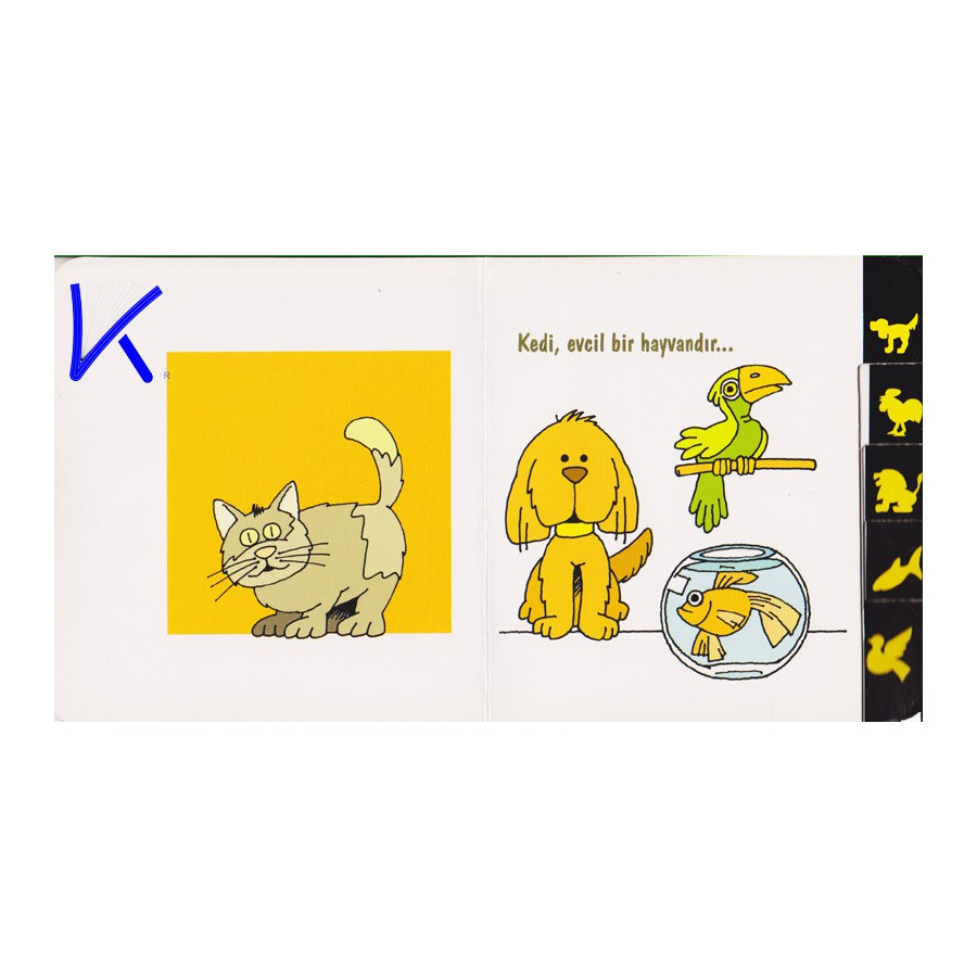 Hayvanları Tanıyalım - Sert karton kitap - Jülide Güreli