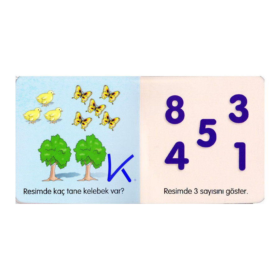 Sayılar - Ilk Öğrendiklerim dizisi - Hobi - Sert karton kitap