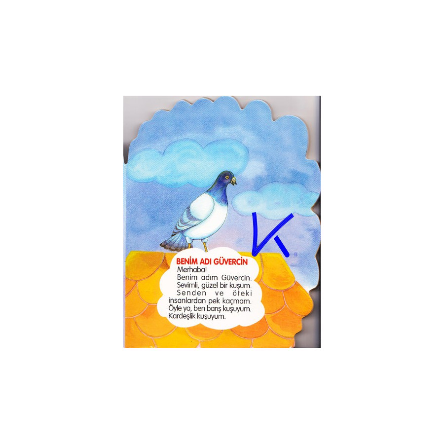 Benim Adım Güvercin - Merhaba - Sert karton sayfa kitap