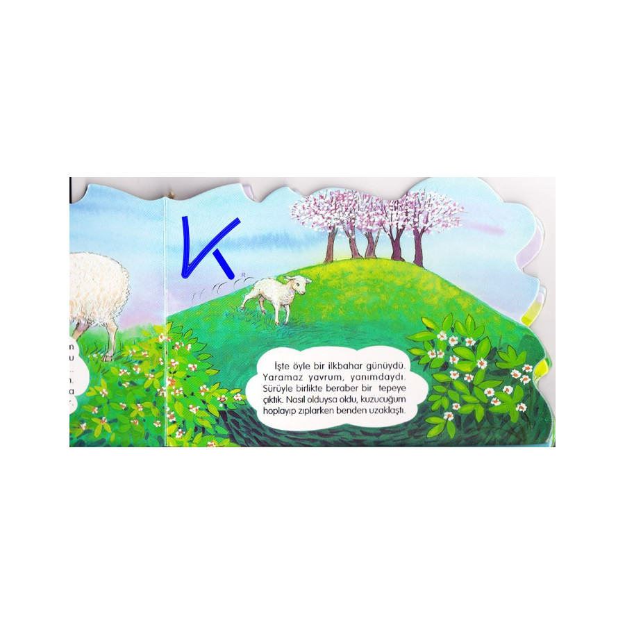 Benim Adım Koyun - Merhaba - Sert karton sayfa kitap