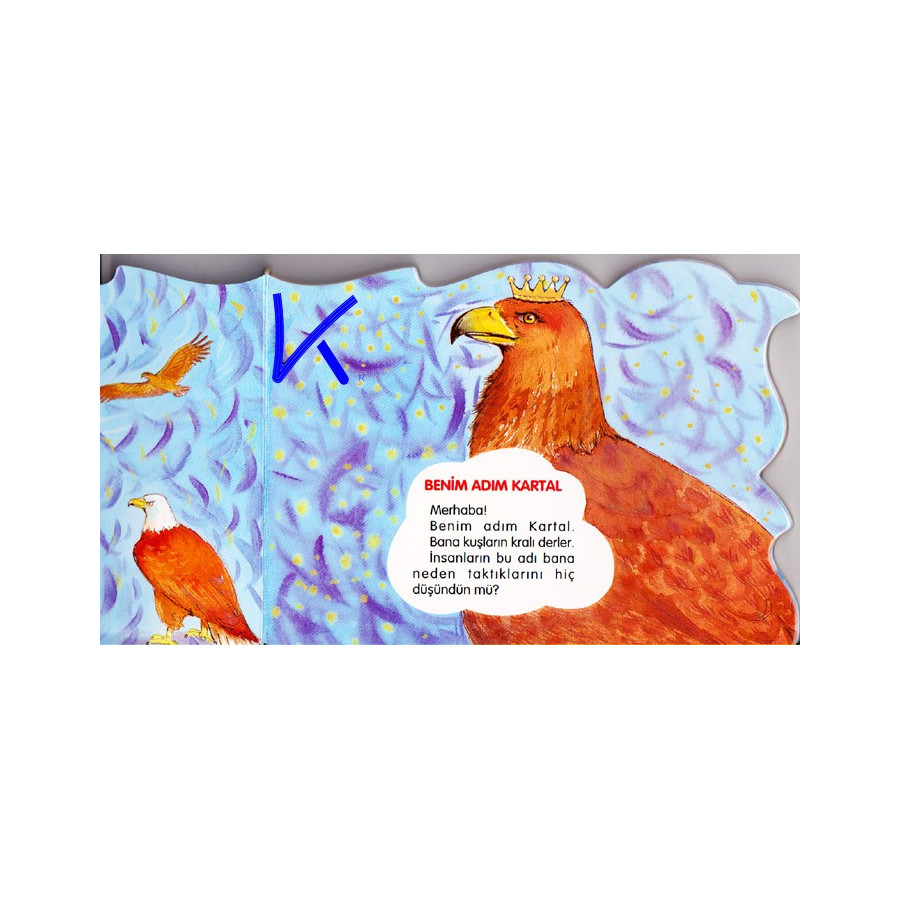 Benim Adım Kartal - Merhaba - Sert karton sayfa kitap