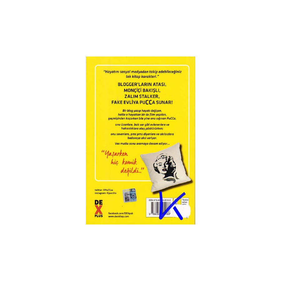 Pucca Günlük 5 - O Adam Buraya Gelecek - Pucca