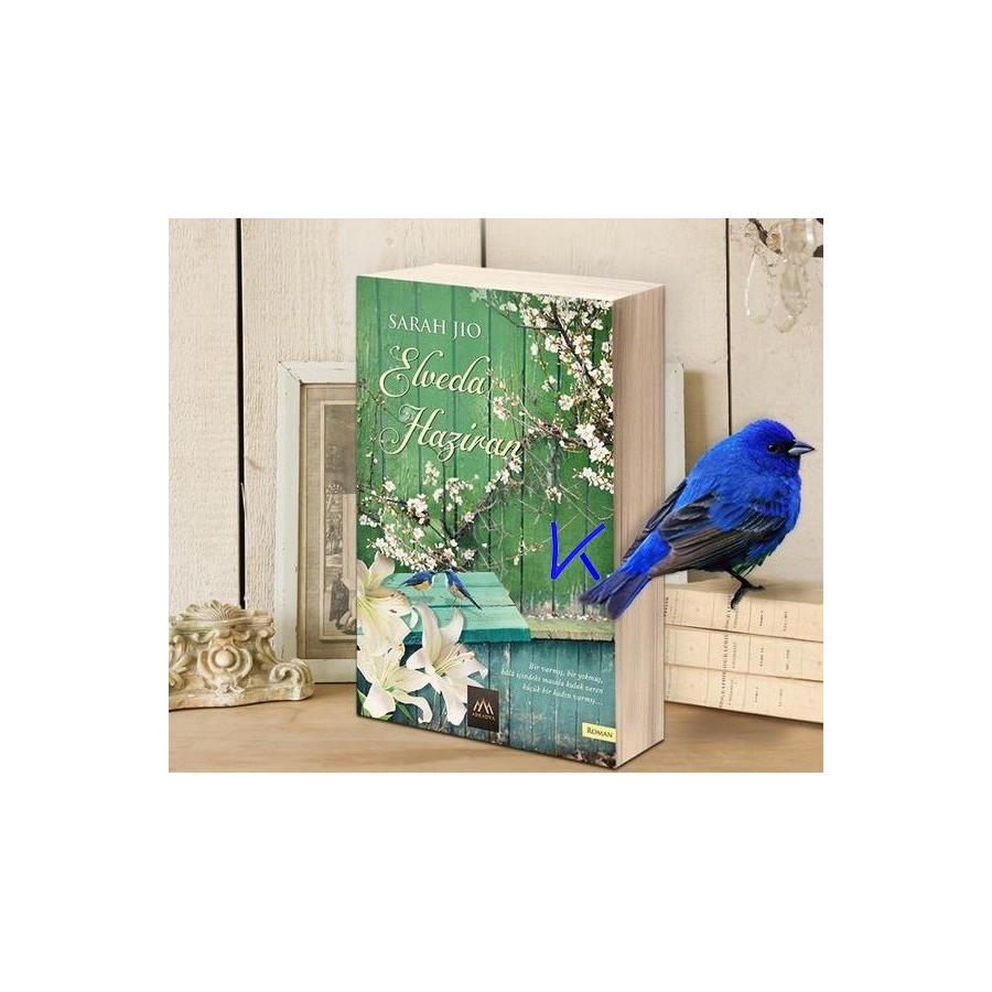 Elveda Haziran - Sarah Jio