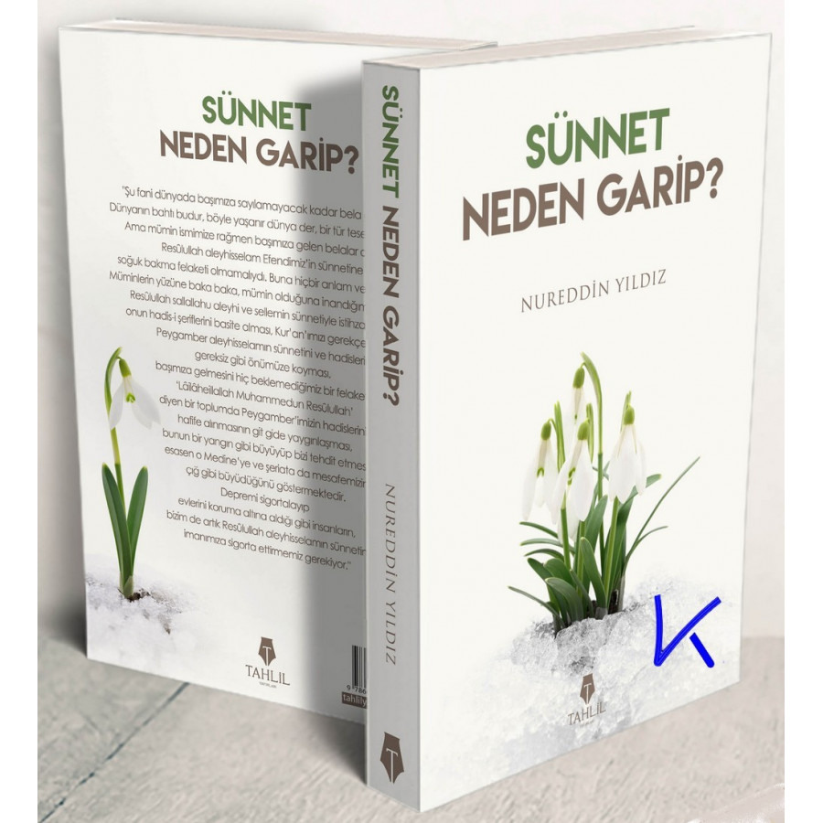 Sünnet Neden Garip ? - Nureddin Yıldız