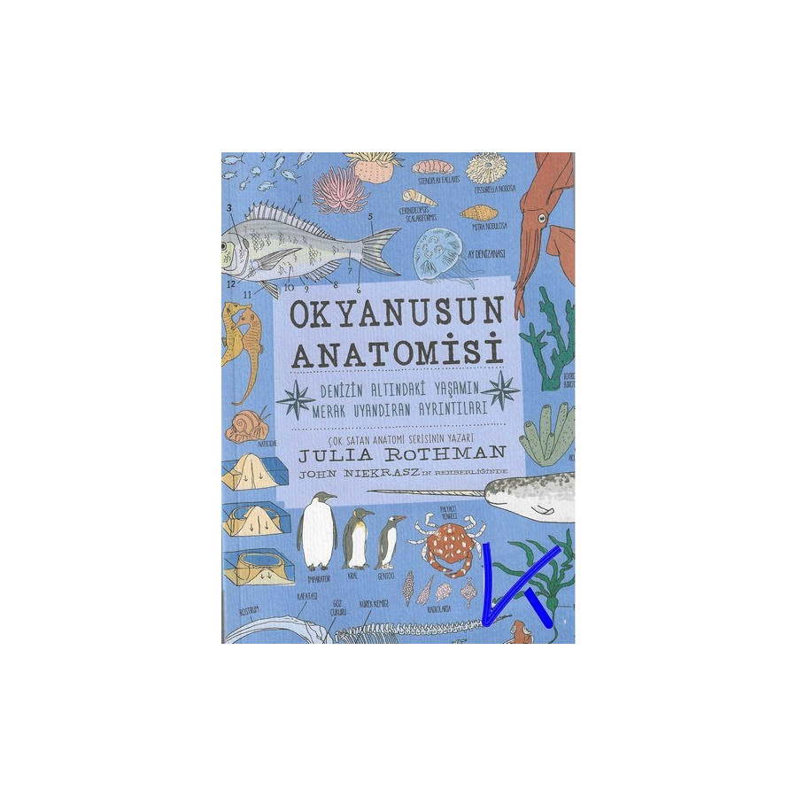 Okyanusun Anatomisi - Julia Rothman